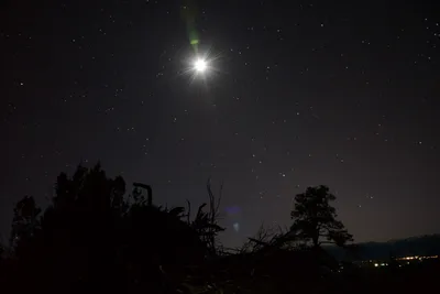 DSC_1110 (Large).JPG